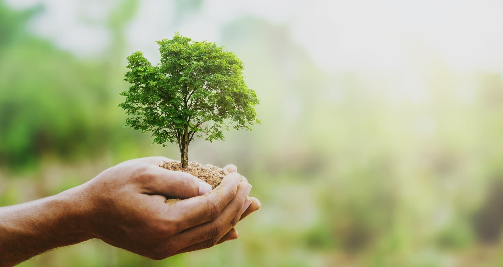 Desde 1999 preocupándonos por el medio ambiente